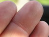 fingers