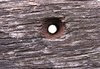 texture-15
