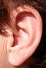 ear