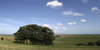 South Downs valley