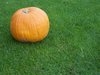 HALLOWEEN PUMPKIN