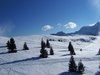 ALPINE LANDSCAPE