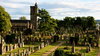 Old cemetery