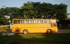 yellow bus