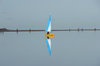 Butterfly Boat