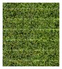Sushi Wrap Texture