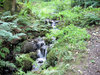 scottish national park 6
