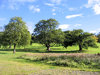 scottish national park 4