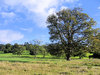 scottish national park 2