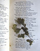 pressed plant