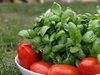 Vegetable's