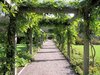 pergola