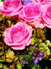 romantic bouquet