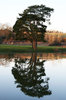 Evening reflection