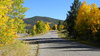 Colorado Color