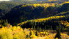 Colorado Color