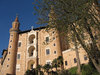urbino