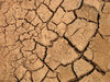 Cracked Earth