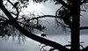 storm shadows