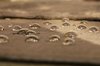 After rain