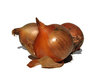 onions
