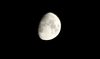 moon by night