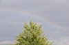 rainbow 2