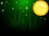 Moonllight illustration