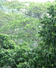 rainy day
