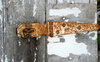 Old Rusted Hinge