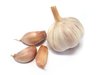 Garlic 2