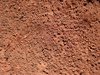 Arid Ground