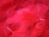 Red Pens