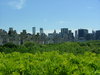 NYC Skyline