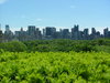 NYC Skyline