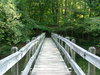 Wooden bridge in the summer