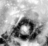 Grunge - Cobwebs on old Photo