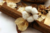 cotton flower abstract