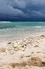 sunny beach