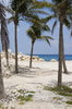 sunny beach