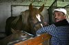 horse