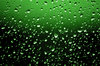 abstract in green