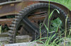 cog wheel