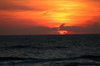 sunset 1