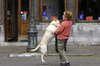 boy and his dog