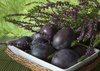 dark-skinned-plum