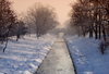 winter landscape