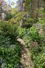 Cottage garden
