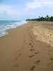 Padang beach