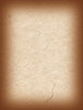 Paper 8